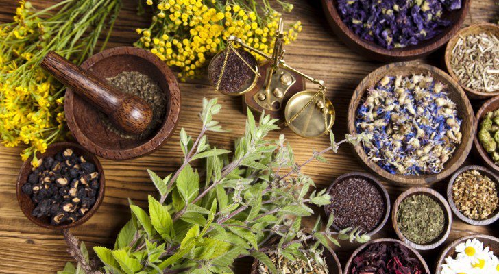 herbal medicine