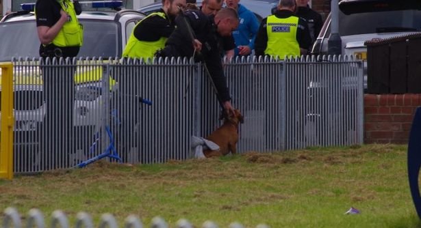 Police at the scene of a reported dog attack involving children in Blyth