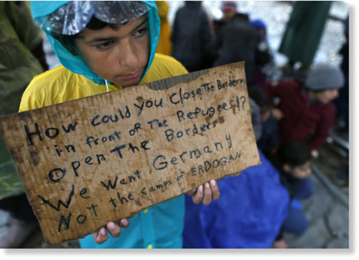 syria refugee