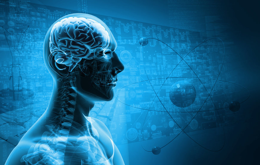 Click to enlarge antibiotics brain function
