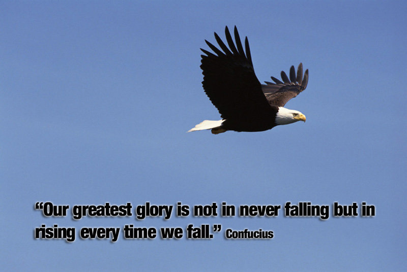 Click to enlarge failure breeds success