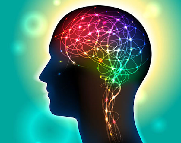 brain image