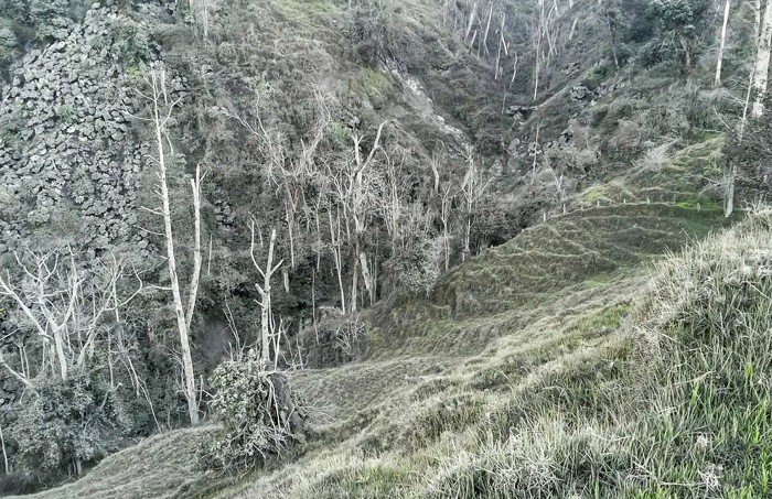 Click to enlarge Ashes from Turrialba Volcano