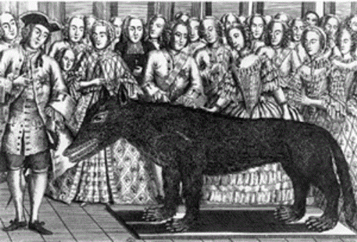 Click to enlarge Beast of Gevaudan