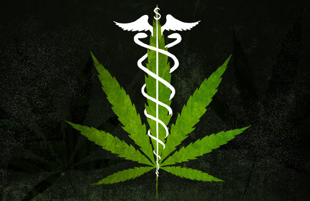 Click to enlarge medicinal weed