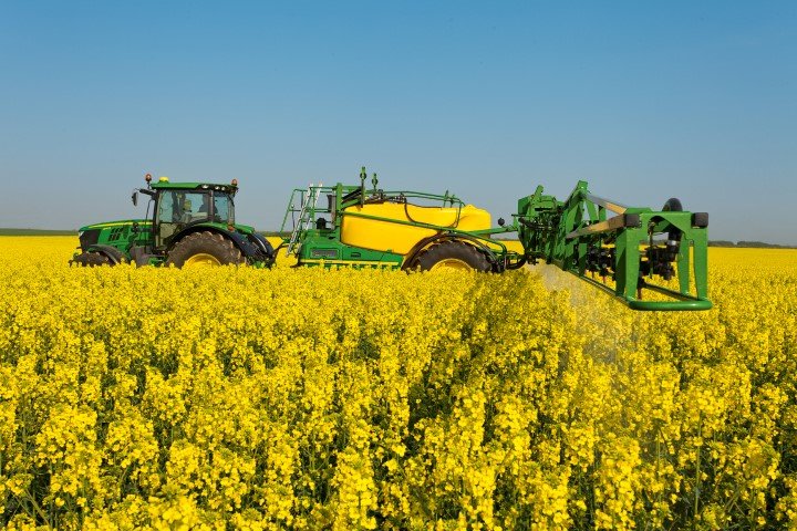 glyphosate