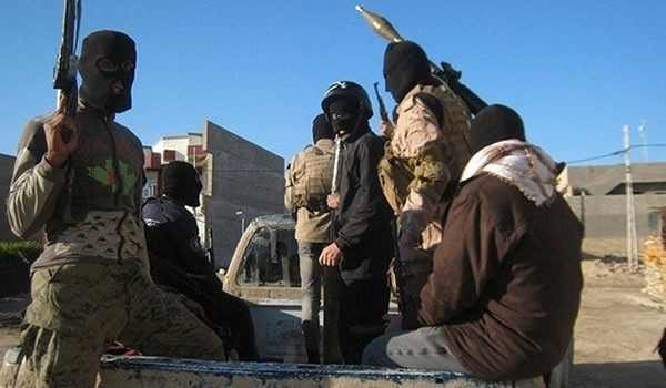 terrorist ingighting