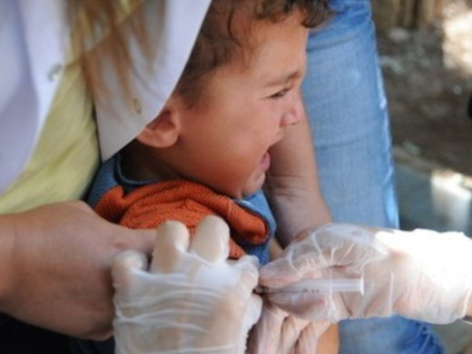 Click to enlarge Turkey Vaccinations