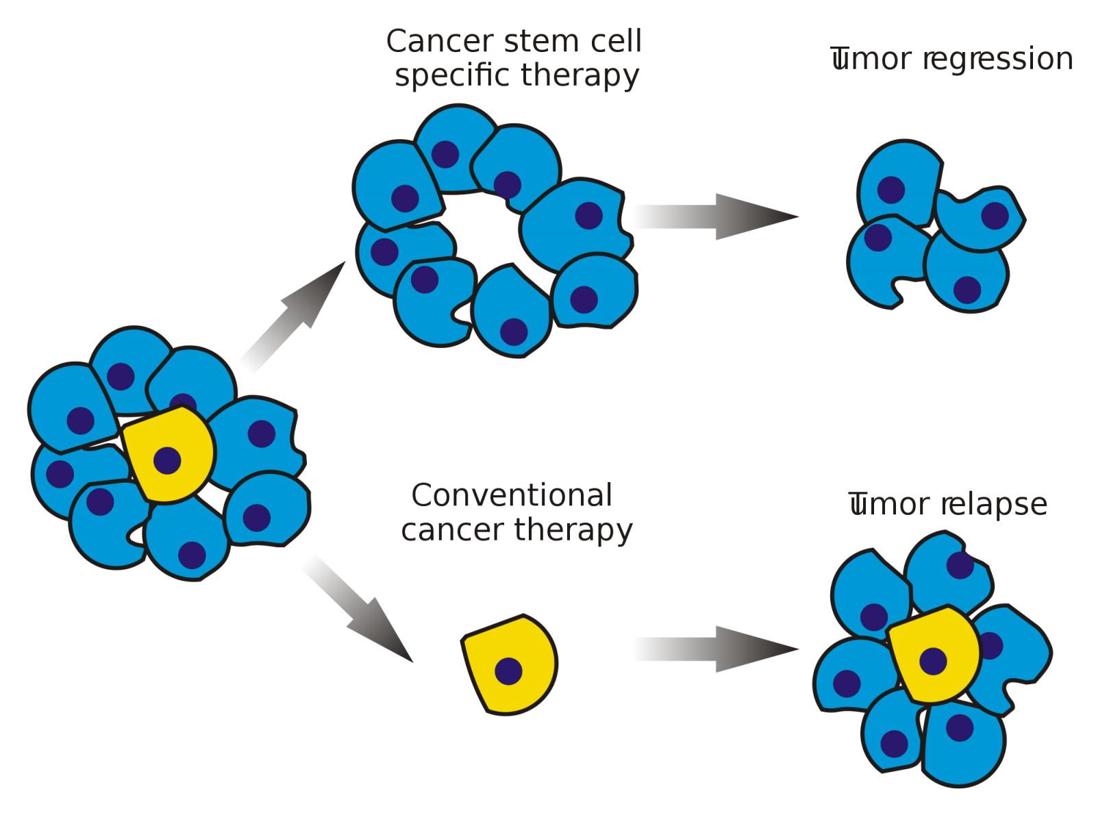 Click to enlarge cancer