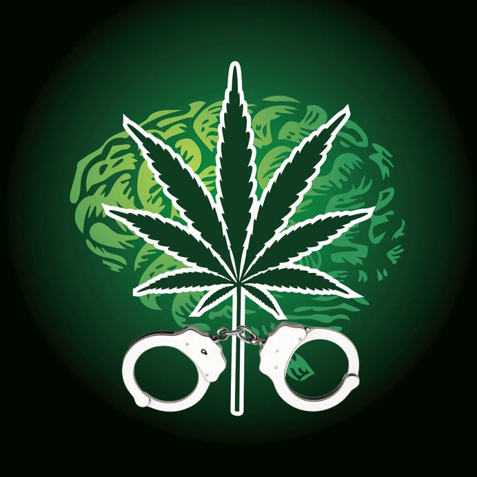 Click to enlarge cannabis kills cancer