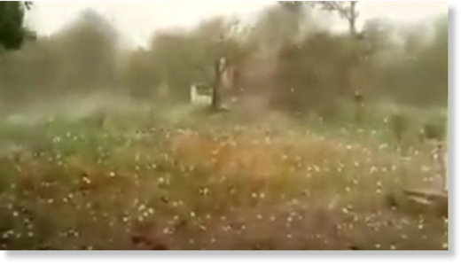  hailstones