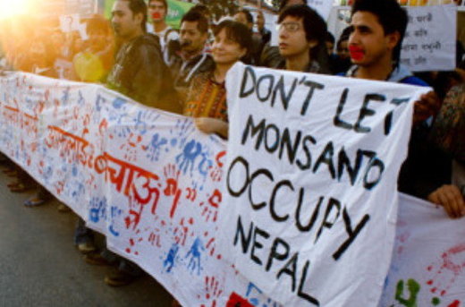 Click to enlarge Occupy Monsanto