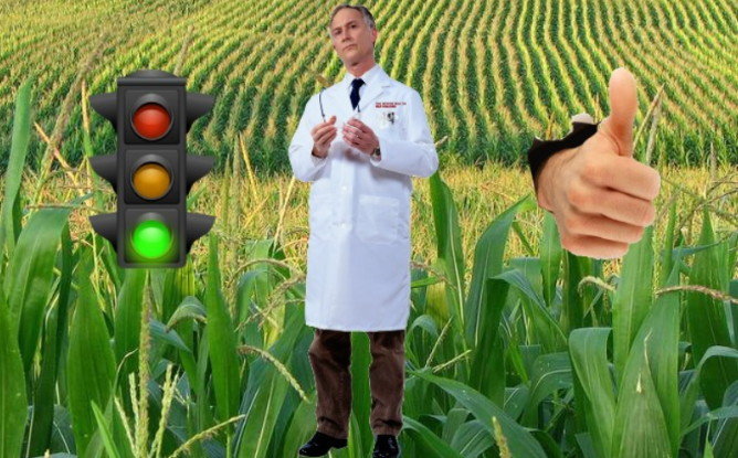 Click to enlarge Big agriculture
