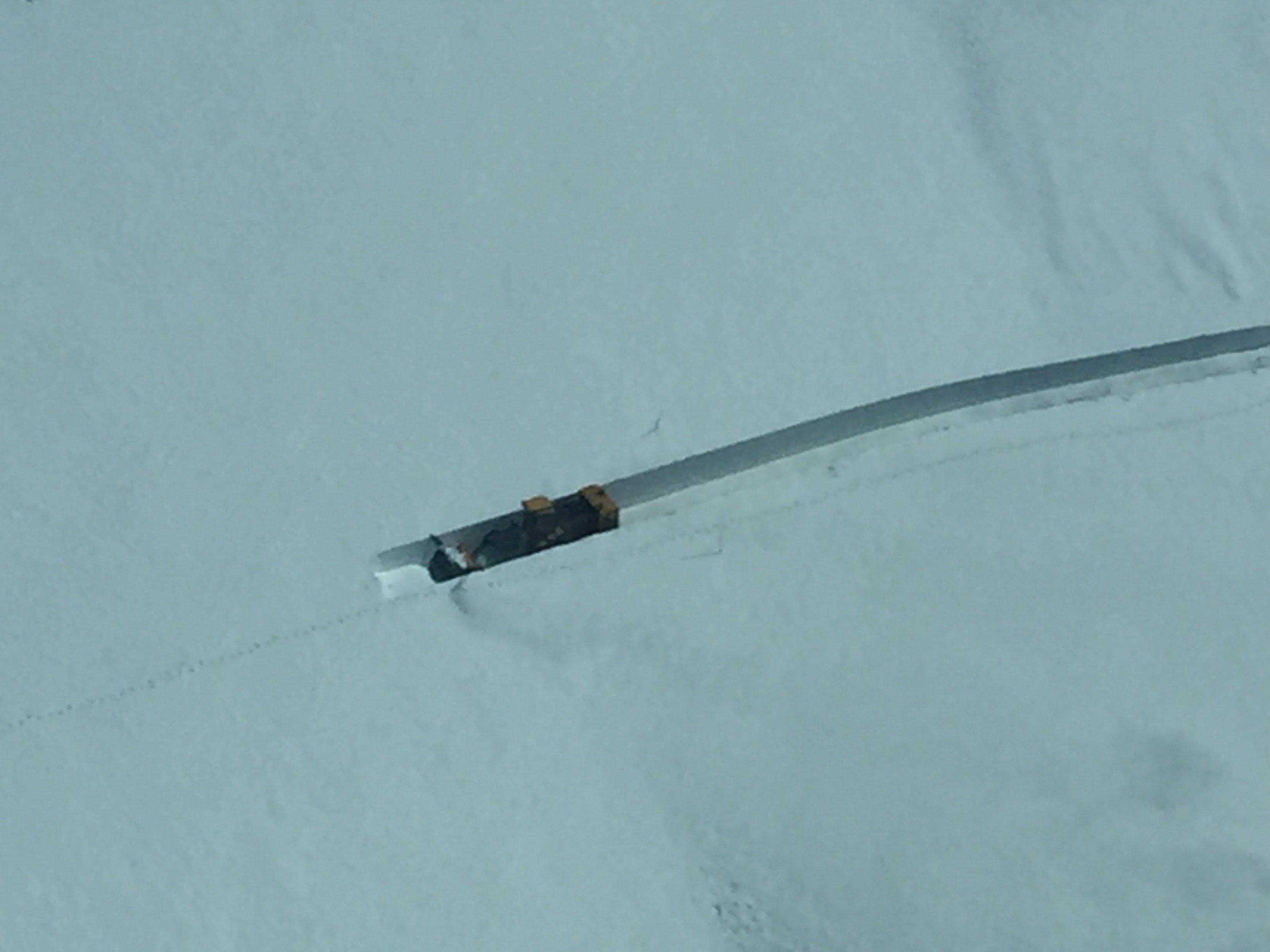 Trail Ridge Road 