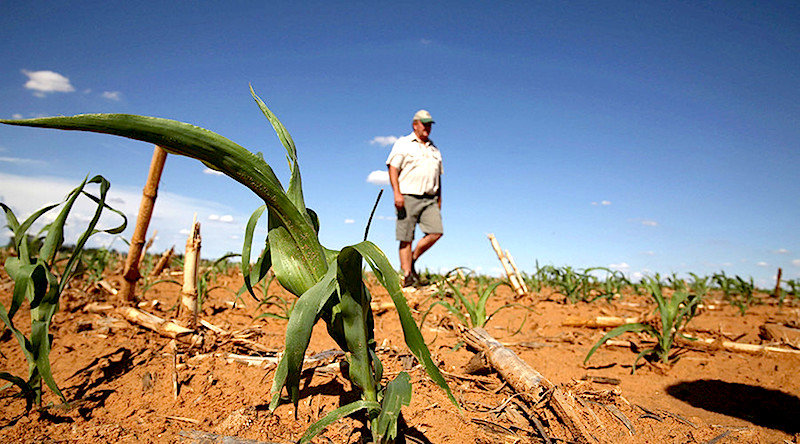 guy in dry field