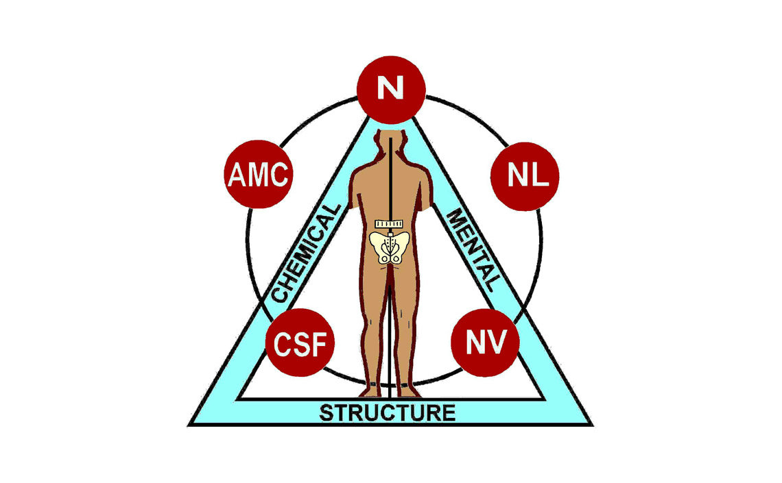 Click to enlarge applied kinesiology triad of health