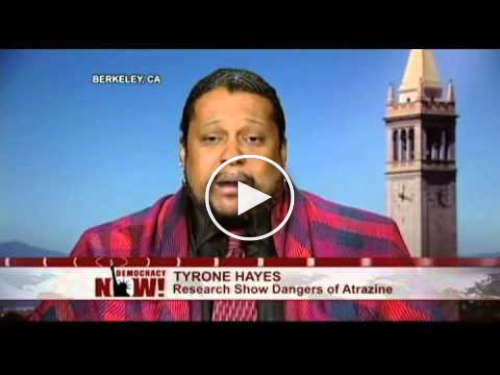 Tyrone Hayes