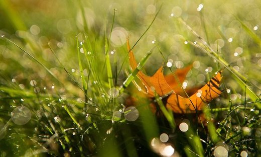 Click to enlarge record cold in Sydney