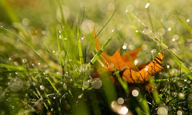 Click to enlarge record cold in Sydney