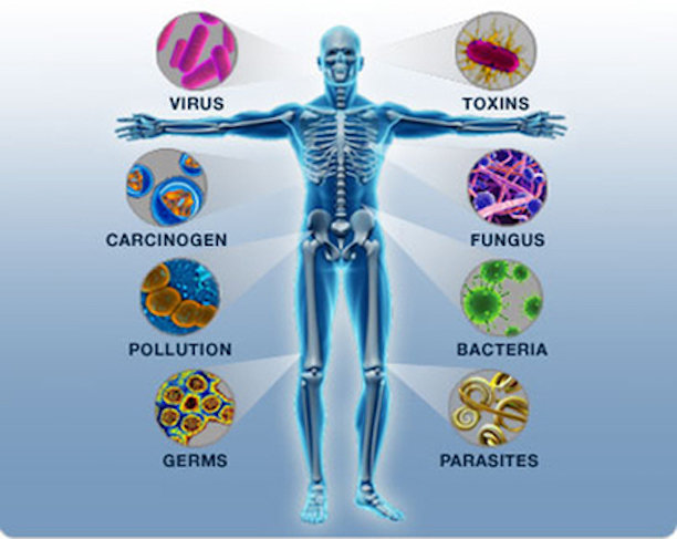 autoimmune