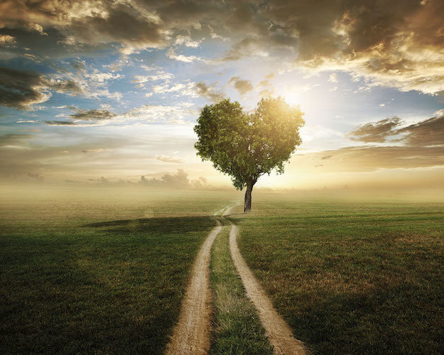 love tree