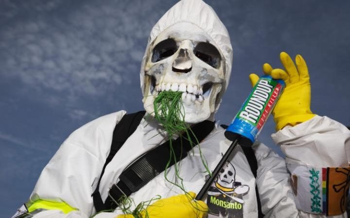 Monsanto