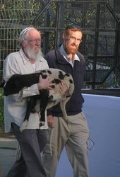 Click to enlarge Glick and Etzion