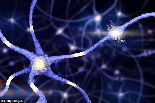 Firing neuron