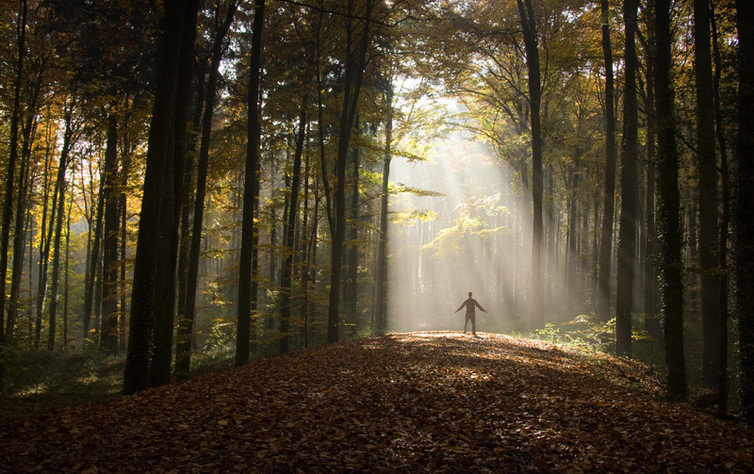 Click to enlarge humility natural systems