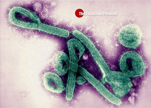 mysterious hemorrhagic fever