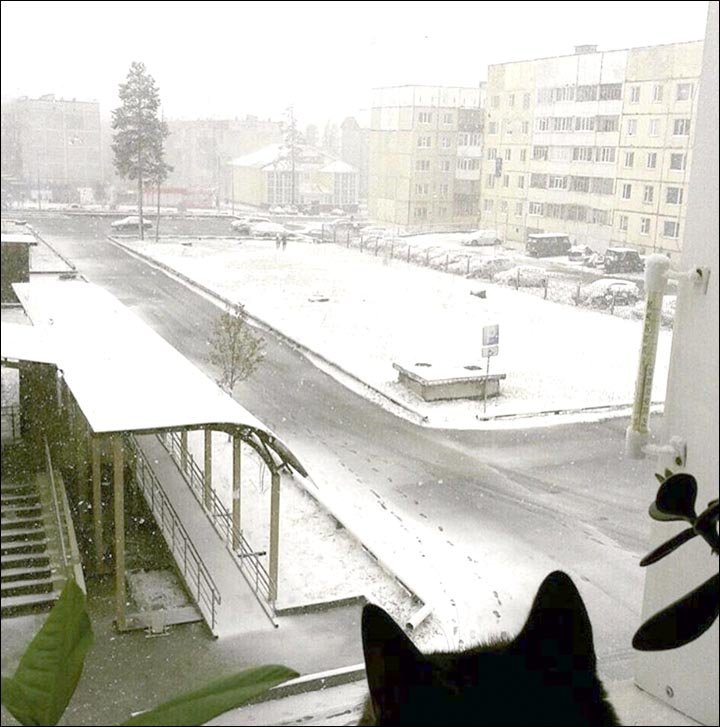 Snow Siberia