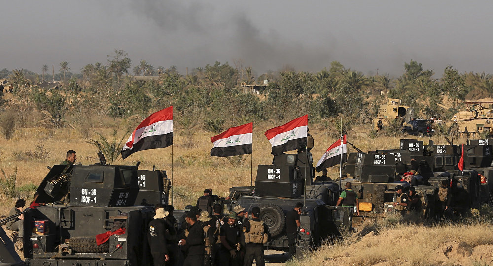 fallujah