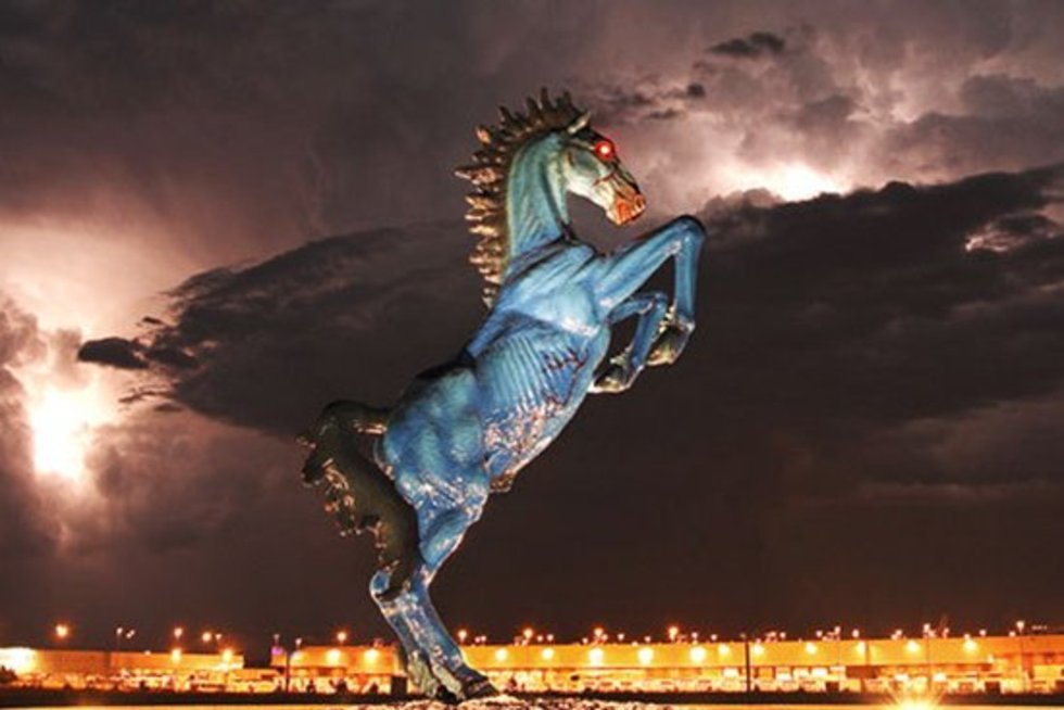 Blue mustang horse
