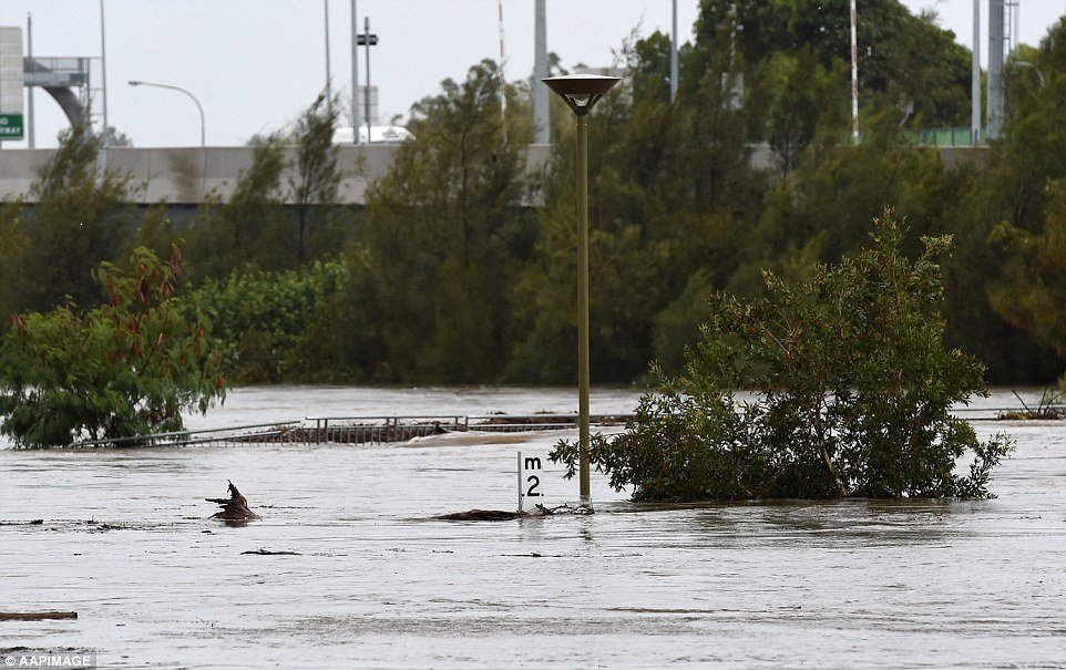 Click to enlarge Police have pleaded with drivers to never enter floodwaters as pictures show two cars being swept away by the floodwater at the Toombul shopping centre