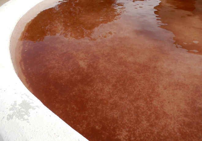 Click to enlarge blood rain water