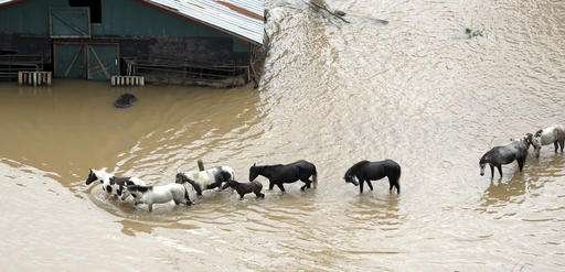 rosharon texas floods
