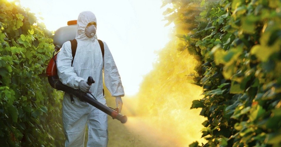 Monsanto