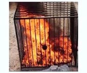 burning cage