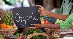 Click to enlarge organic