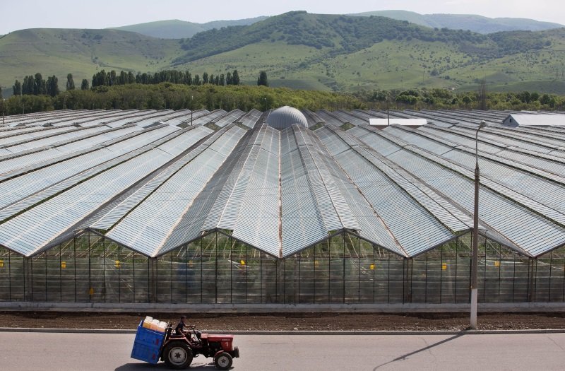 Click to enlarge organic food Russia