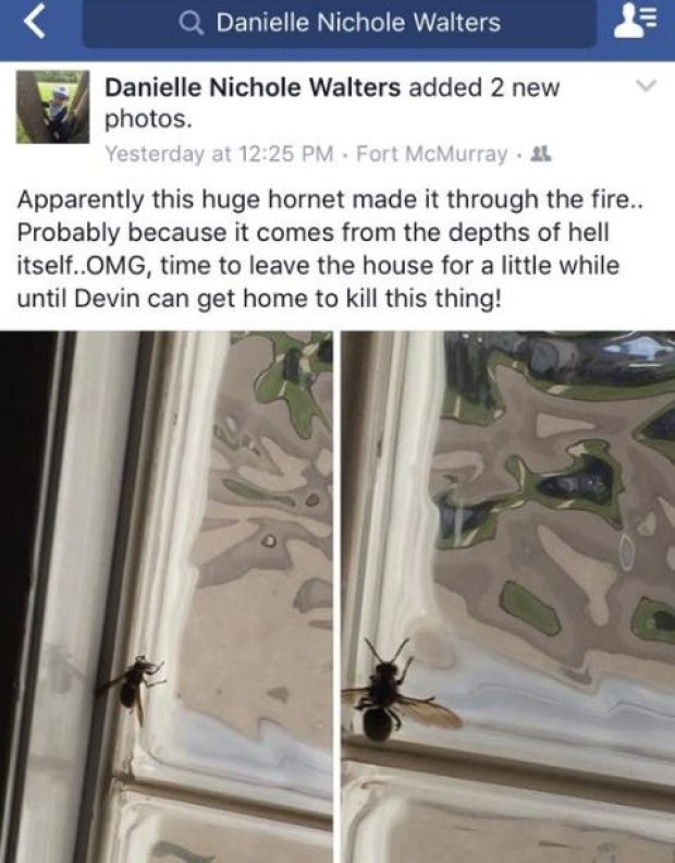 Danielle Nichole Walters/Facebook