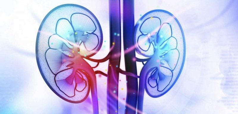 Kidney disease