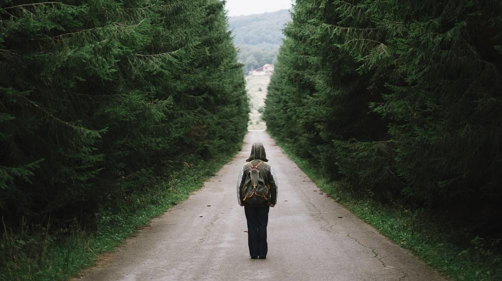 Hiker in woods trail