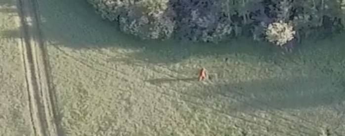 possible bigfoot