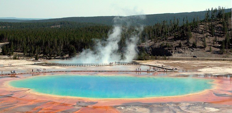 yellowstone park