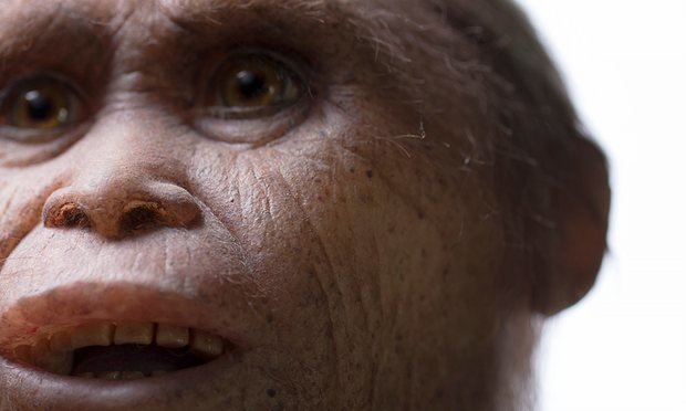 Click to enlarge ancient human ancestor