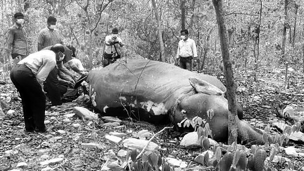 Team of experts conducting post-mortem on Monday