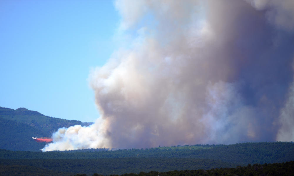Manzano mountains wildfire