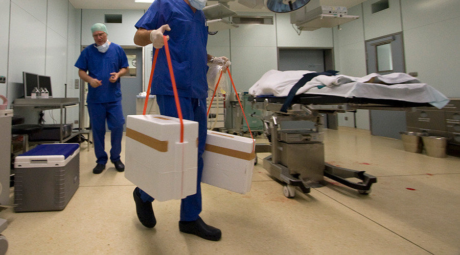 Click to enlarge Organ transplant containers