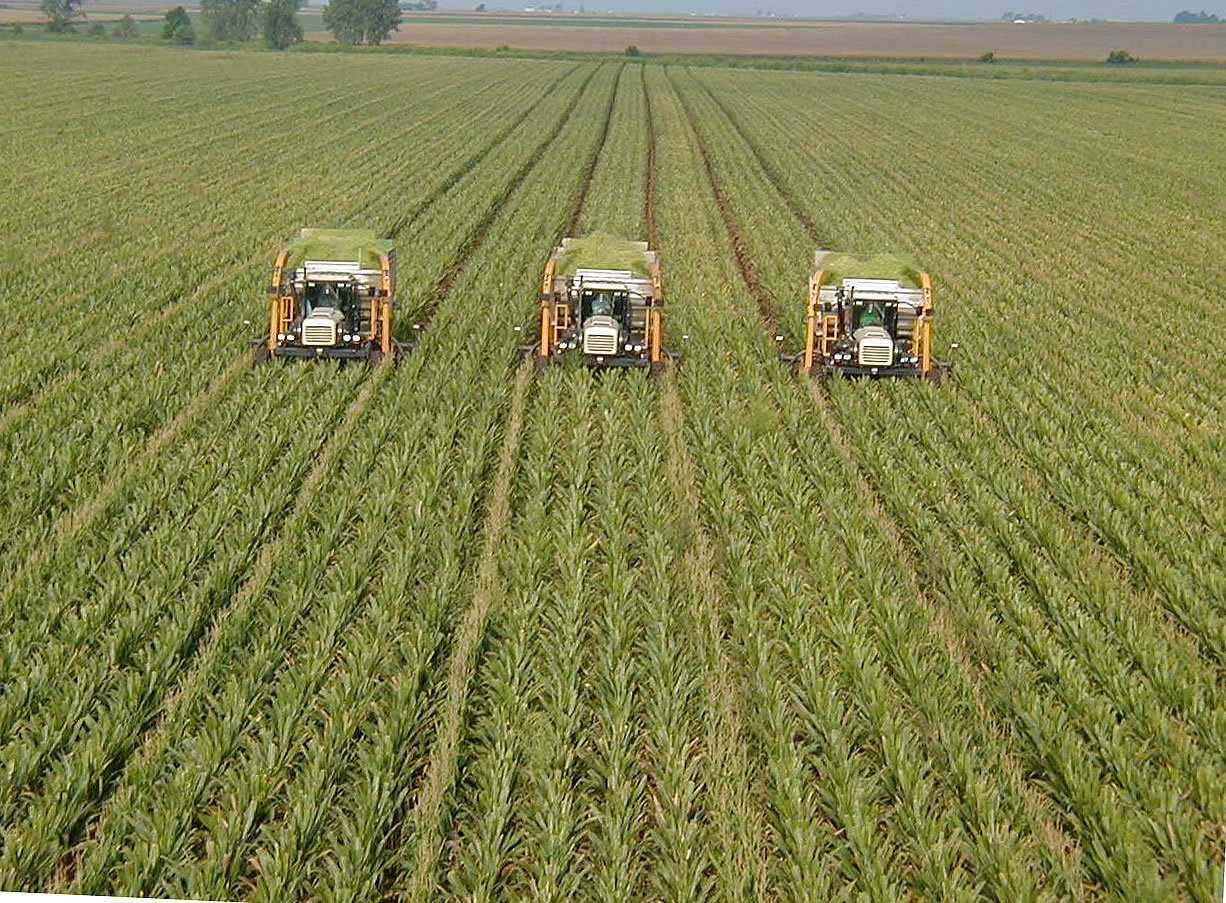 farming, big agriculture
